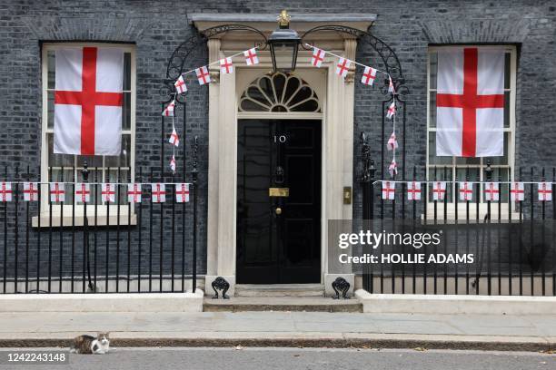 Larry the Cat sits outside Number 10 Downing Street in central London on August 1 as England flags hang a day after England beat Germany 2-1 to win...
