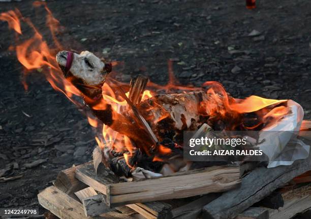 Dried llama fetus burns as an offering by Andean indigenous people during a ritual to thank the Pachamama goddess in La Cumbre, 25 km from La Paz, on...