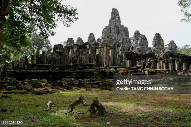This photo taken on July 7, 2022 shows macaque monkeys next to Bayon Temple in Angkor Park in Siem Reap province. Decades after poachers hunted...