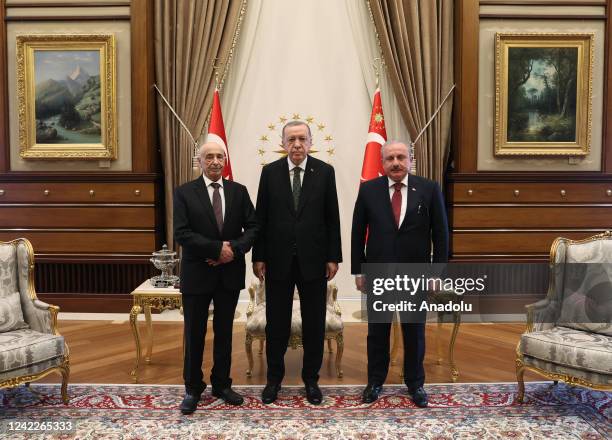 Turkish President Recep Tayyip Erdogan meets Speaker of the House of Representatives of Libya, Aguila Saleh Issa at Presidential Complex in Ankara,...