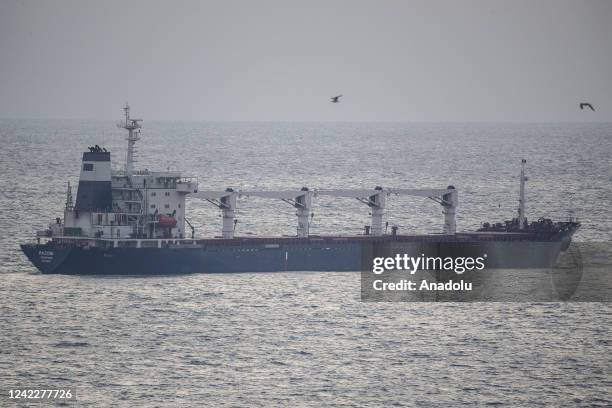 Sierra Leone-flagged dry cargo ship Razoni, carrying a cargo of 26,527 tons of corn, departed from the port of Odessa anchors off coast of Istanbul,...