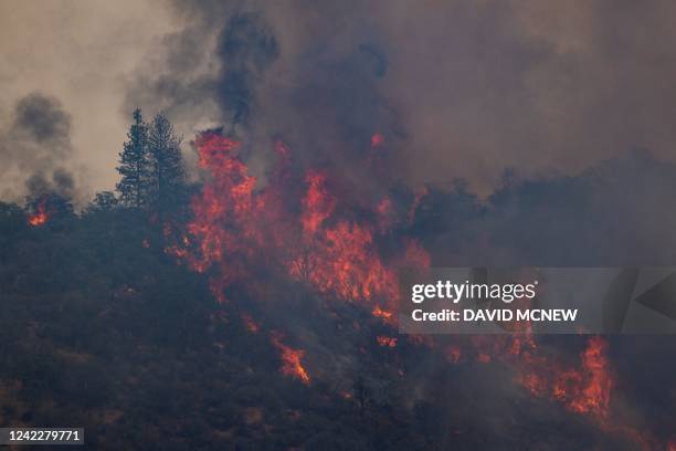 Flames make an upslope run at the McKinney Fire, in the Klamath National Forest near Yreka, California, on August 2, 2022. - At least four people are...