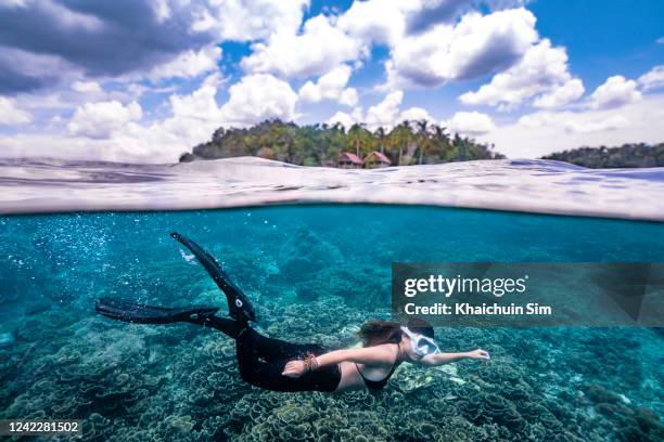 split shot of a free diver swimming - raja ampat islands bildbanksfoton och bilder