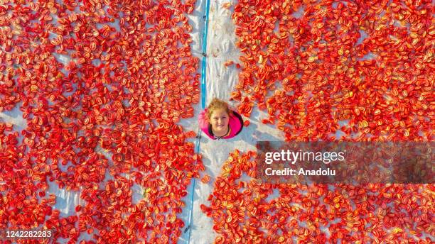 An aerial view of a field where tomatoes are left for drying under the sun as seasonal workers process tomatoes after a harvest in Karacadag region...