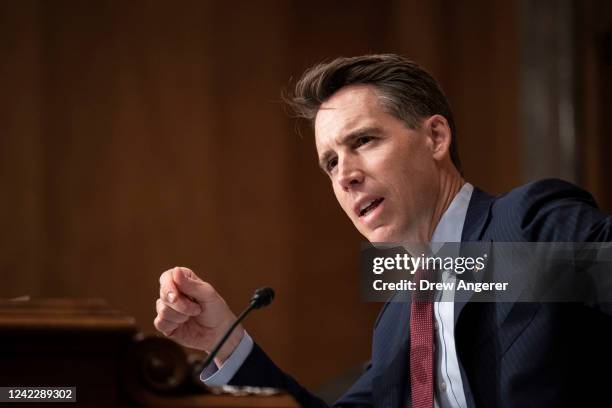 Sen. Josh Hawley speaks during a Senate Homeland Security Subcommittee on Emerging Threats and Spending Oversight on Capitol Hill August 3, 2022 in...