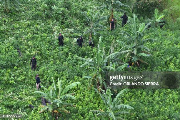 Soldiers, members of the Technical Criminal Investigation Agency and members of the Directorate for the Fight against Drug Trafficking destroy at...