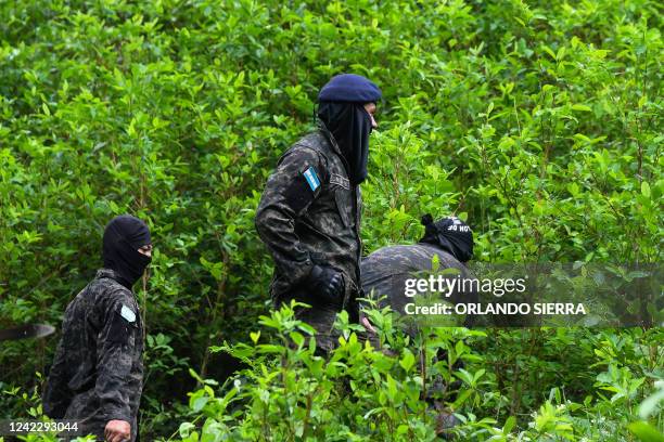 Soldiers, members of the Technical Criminal Investigation Agency and members of the Directorate for the Fight against Drug Trafficking destroy at...