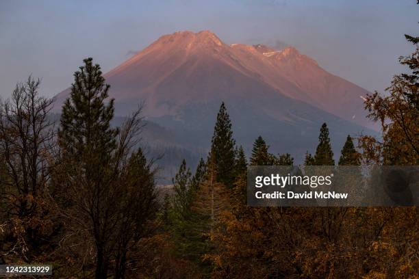 The normally snowy14,163-foot Mount Shasta is nearly snowless on July 8, 2022 near Weed, California. The permanent snowpack of Mount Shasta has been...