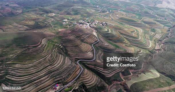 Summer terraced fields wrap around the Liupan Mountains to the top of the mountain in Yinchuan city, Northwest China's Ningxia Hui Autonomous Region,...