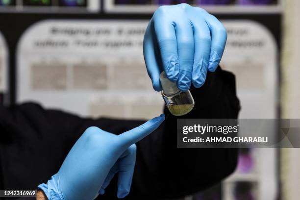 Dr Jacob Hanna, a specialist in molecular genetics at Israel's Weizmann Institute of Science, holds a vial containing five-day-old synthetic mouse...