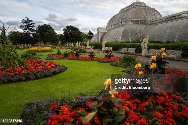Lush floral garden in bloom outside the Palm House at Royal Botanic Gardens Kew in west London, UK, on Wednesday, Aug. 3, 2022. Across London and...