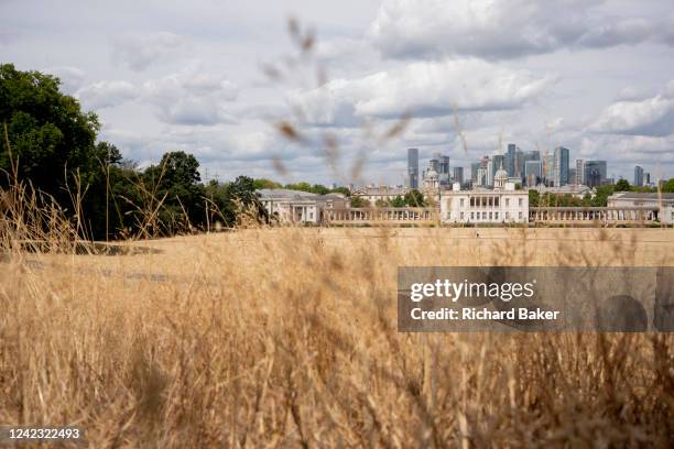 Overlooked by the former royal residence, Queen's House, is a landscape of parched grass in Greenwich Park as the UK's heatwave and drought continues...