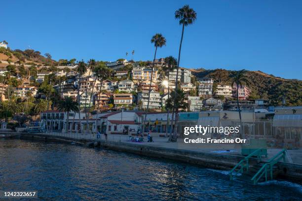 View of Avalon on Tuesday, July 27 in Avalon, CA. While California is once again in the grip of severe drought, conditions on Catalina Island are a...