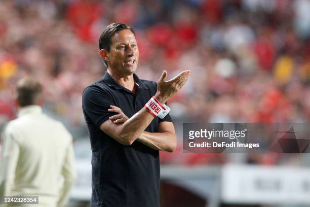 Roger Schmidt of SL Benfica gestures during the Liga Portugal Bwin match between SL Benfica and FC Arouca at Estadio do Sport Lisboa e Benfica on...