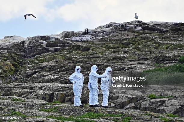 National Trust rangers wear protective suits and masks on Inner Farne Island, a National Trust seabird sanctuary, on August 5 in Seahouses, England....