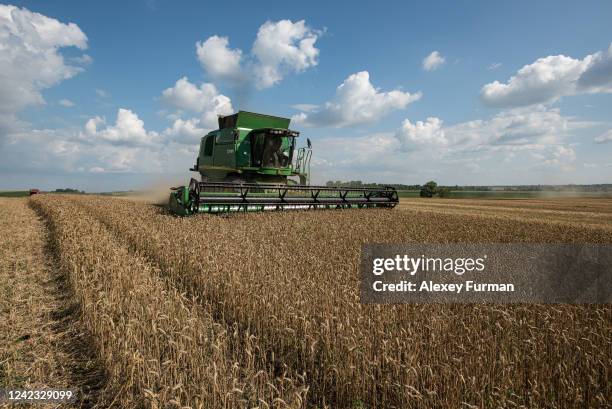 Combine harvesters of Astarta-Kyiv agri-industrial holding harvests wheat on August 5, 2022 in the Khmelnytskyi region of Ukraine. In normal times,...