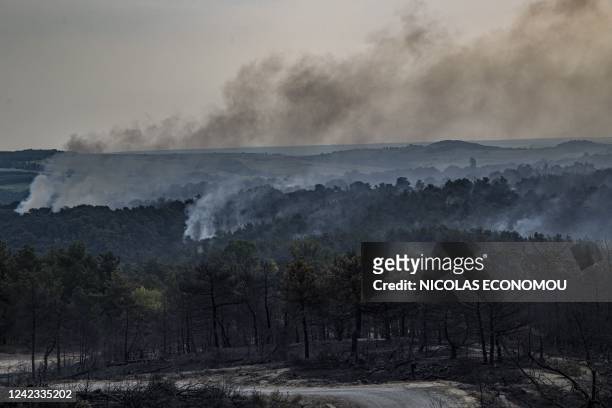 This photograph taken in the national park of Dadia, eastern Greece, on July 25, 2022 shows smoke rising over burned trees. The government tried to...