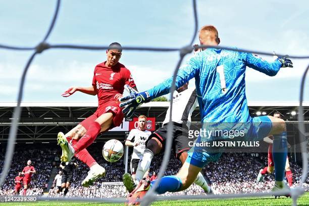 Liverpool's Uruguayan striker Darwin Nunez gets in front of Fulham's English defender Tosin Adarabioyo to shoot and score their first goal during the...