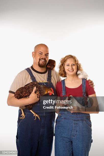 caucasian mid-adult woman and man with chickens. - golden wyandottes stock pictures, royalty-free photos & images