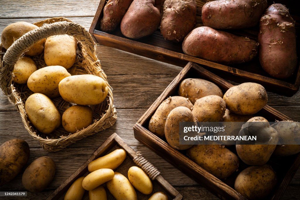Raw potatoes varied of different shapes and colors on rustic wood