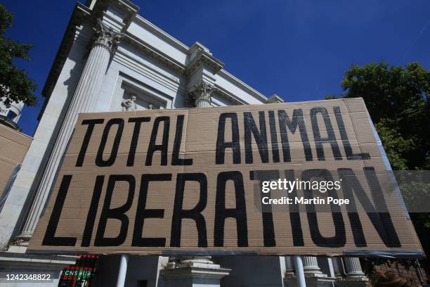 Animal Liberation March In London Photos and Premium High Res Pictures - Getty Images Animal Liberation March In London Photos and Premium High Res Pictures - Getty Images