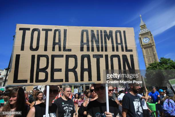1,714 The London Animal Rights March Photos and Premium High Res Pictures -  Getty Images