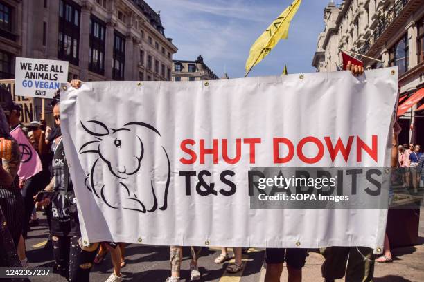 Red Rabbit Protest 1,954 Banner Rabbit Stock Photos, High-Res Pictures, and Images - Getty ...