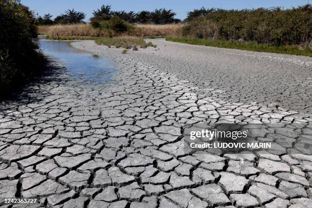 View taken on August 7 shows the parched salt marshes on Ile de Noirmoutier, in the Bay of Biscay.