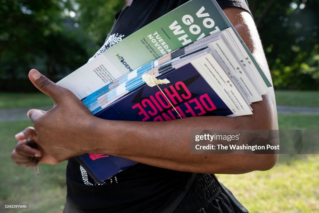 Canvass for Reproductive Rights in Pontiac