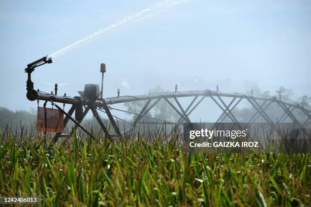 An irrigation machine waters crops in a field at Saint-Sever, south-western France, on August 9 as France saw its driest July on record, the national...