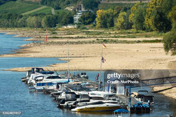 General view of low water level continues along the rhine river in Bad Honnef, germany on August 9, 2022 Euroe is being hit by climate crsisi.