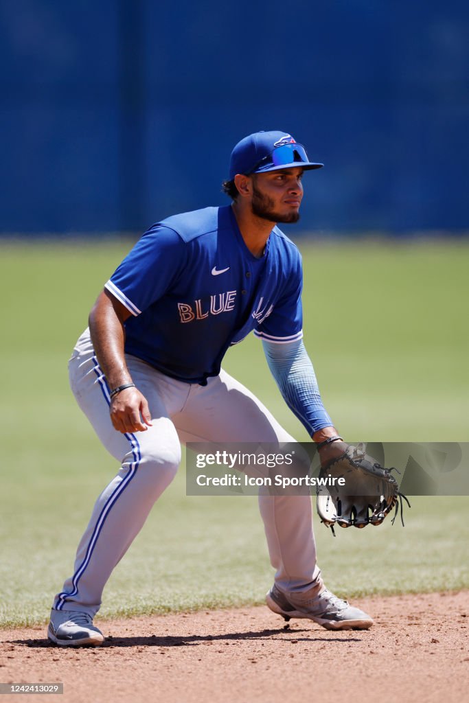 MiLB: AUG 09 FCL Tigers at FCL Blue Jays