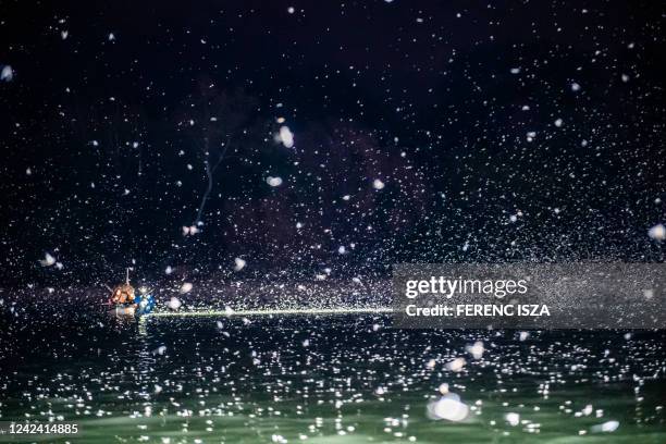 Swarm of mayflies flies by a boat over the surface of the river Danube after sunset in Szentendre, north of Budapest, Hungary, on August 9, 2022....
