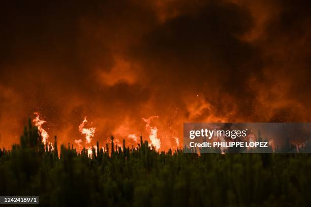 Flames burn trees during a forest fire near Belin-Beliet in Gironde, southwestern France, on August 10, 2022.