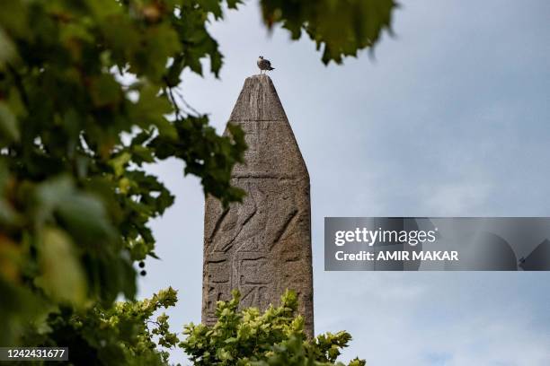 Seagull perches atop the ancient Egyptian Obelisk of Thutmose III , known as "Cleopatra's Needle", along the Thames river embankment in London on...
