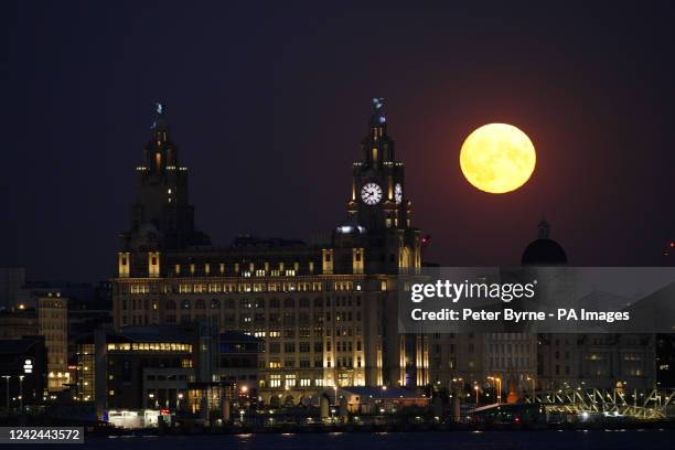 The Sturgeon supermoon, the final supermoon of the year, rises over the Royal Liver Building in Liverpool. Picture date: Thursday August 11, 2022.