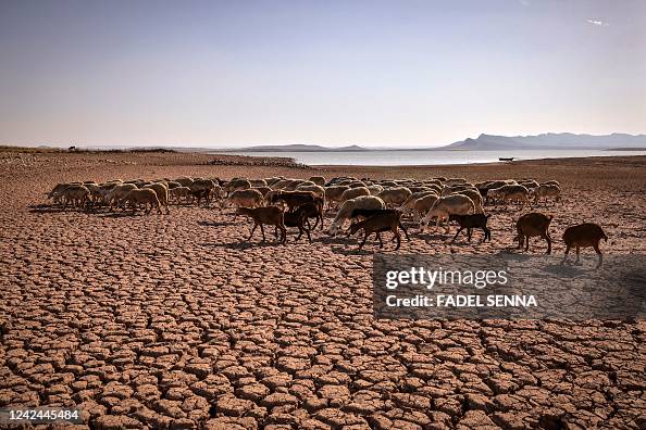 MOROCCO-CLIMATE-AGRICULTURE-WEATHER-DROUGHT MOROCCO-CLIMATE-AGRICULTURE-WEATHER-DROUGHT