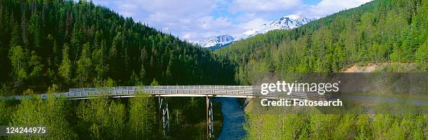 bridge along seward highway - 行政区画 バラ ストックフォトと画像