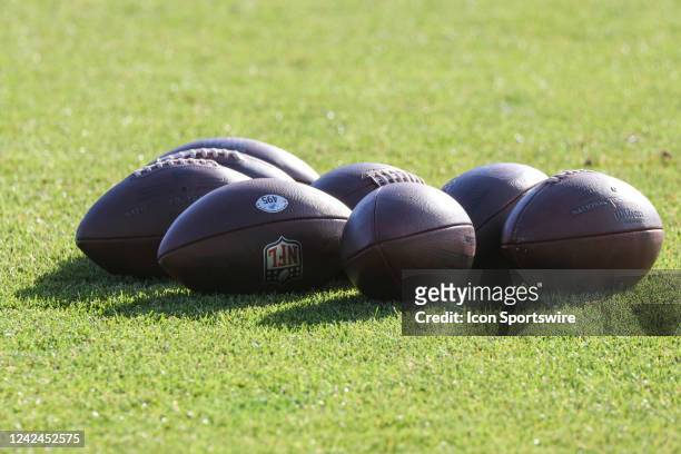 General view of practice footballs lined up on the field is seen during the Detroit Lions Training Camp practice on August 10, 2022 at the Detroit...