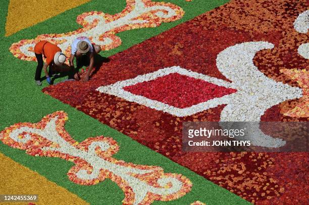 Volunteers work on the creation of the Flower Carpet on the Grand-Place in Brussels on August 12, 2022. - The 22nd edition of Brussels' Flower Carpet...