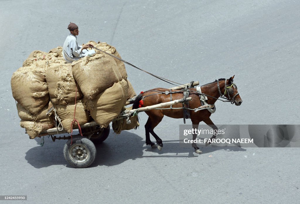 Pakistan Raksha Cart A Pakistani villager rides his loaded horse cart in a street in... News ...
