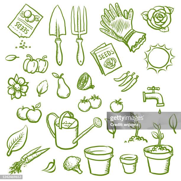 stockillustraties, clipart, cartoons en iconen met organische het tuinieren pictogrammen - seedling