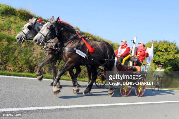 Un attelage de chevaux de trait de race Percheron évolue, le 20 septembre 2008 dans la commune de Condette, lors de la première étape de la 9e...