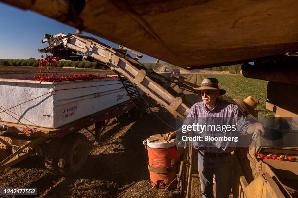 Bruce Rominger Tomato Quarter Photos and Premium High Res Pictures - Getty Images