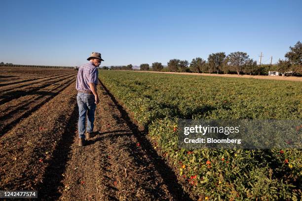 Bruce Rominger Bruce Rominger Photos and Premium High Res Pictures - Getty Images
