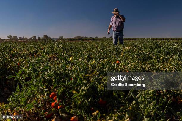 Bruce Rominger Bruce Field Photos and Premium High Res Pictures - Getty Images