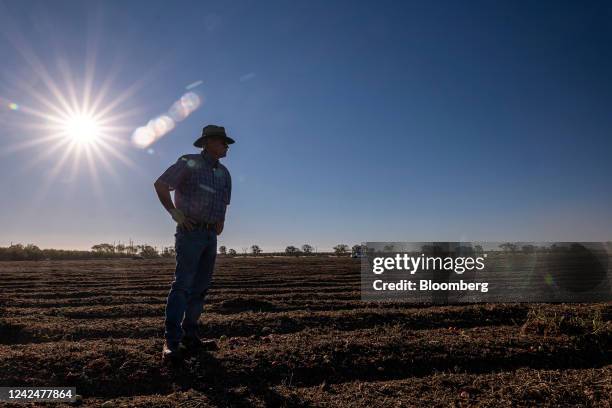 Bruce Rominger Tomato Quarter Photos and Premium High Res Pictures - Getty Images