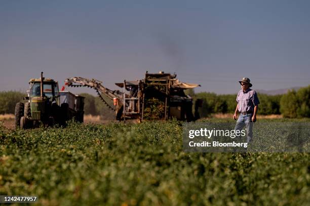 Bruce Rominger Tomato Quarter Photos and Premium High Res Pictures - Getty Images