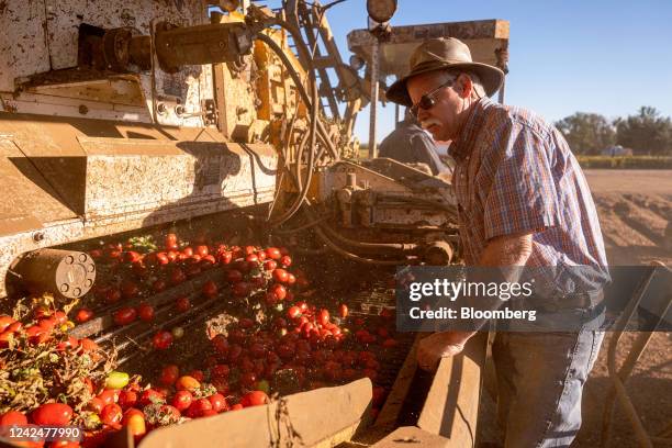 Bruce Rominger 44 Bruce Rominger Stock Photos, High-Res Pictures, and Images - Getty ...