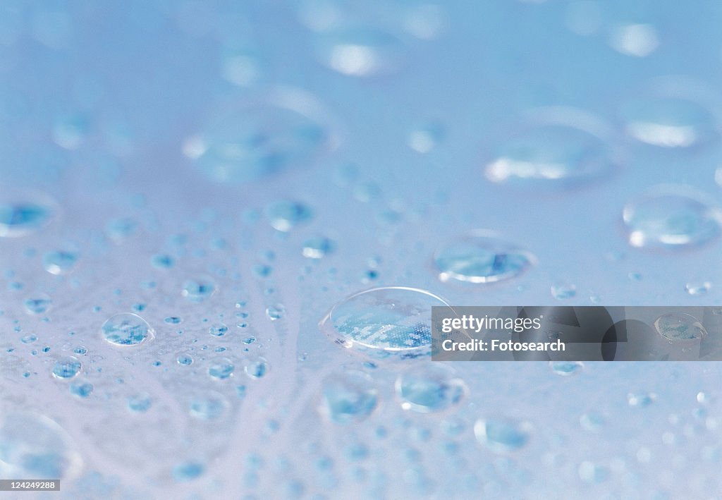 Water, drop, blue